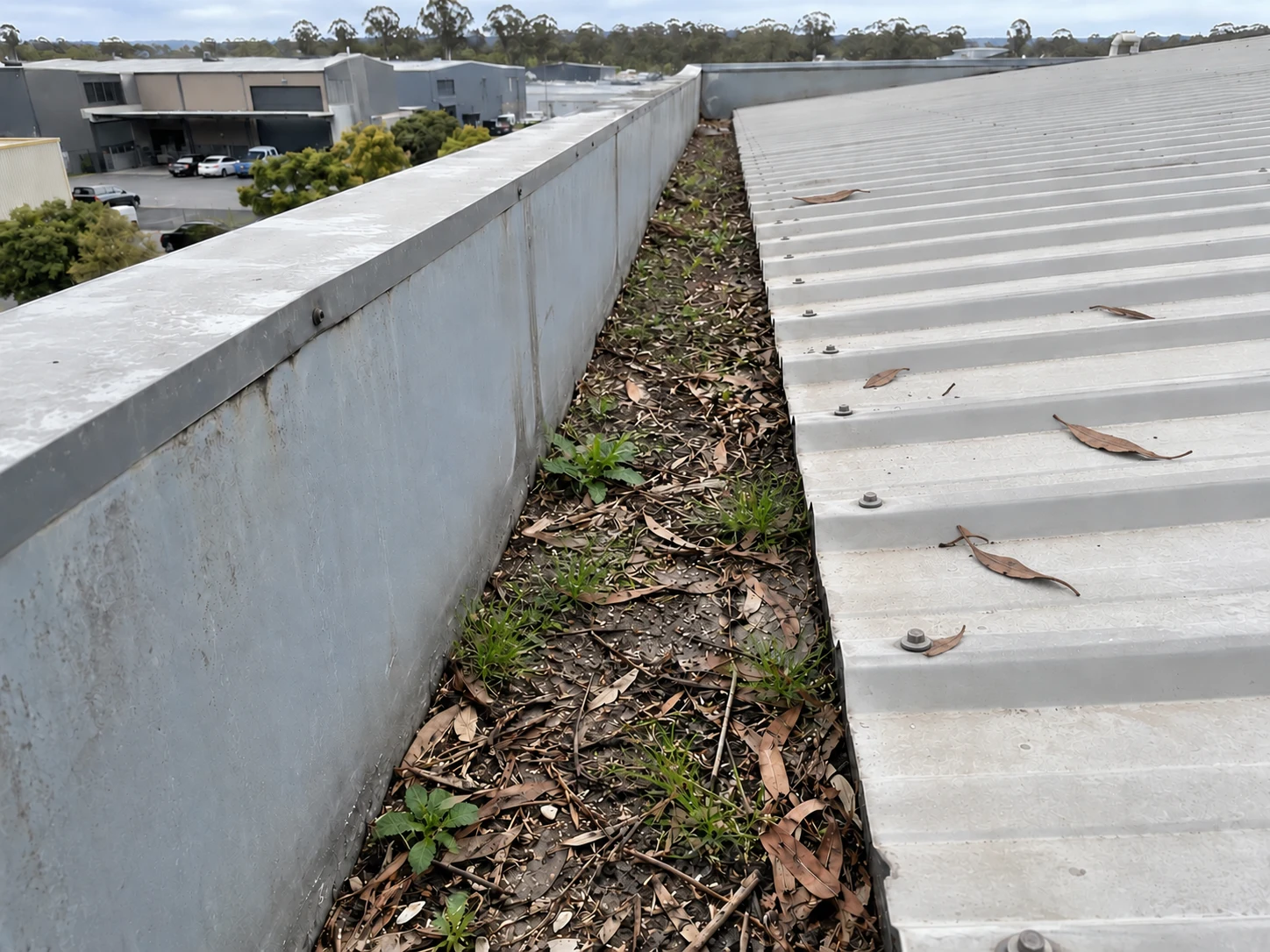 Leaf debris in a warehouse box gutter